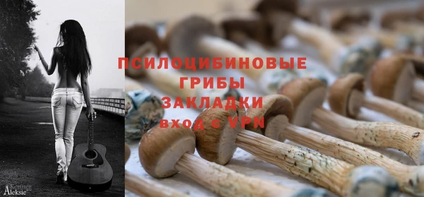 бошки Нягань