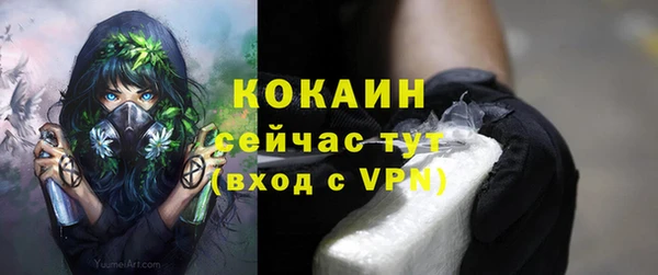 бошки Нягань