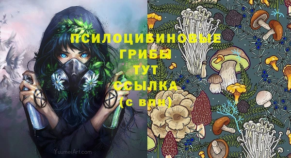 бошки Нягань