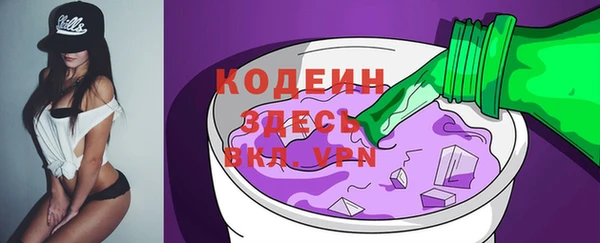 гидра Няндома