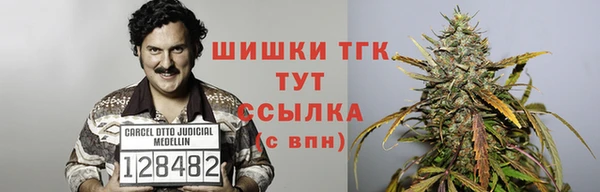 гидра Няндома