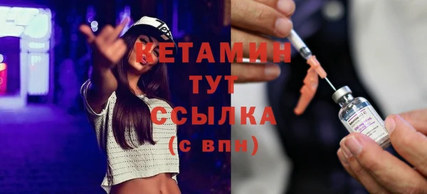 гидра Няндома