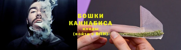 гидра Няндома