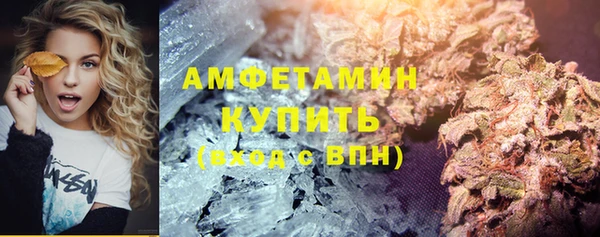 гидра Няндома