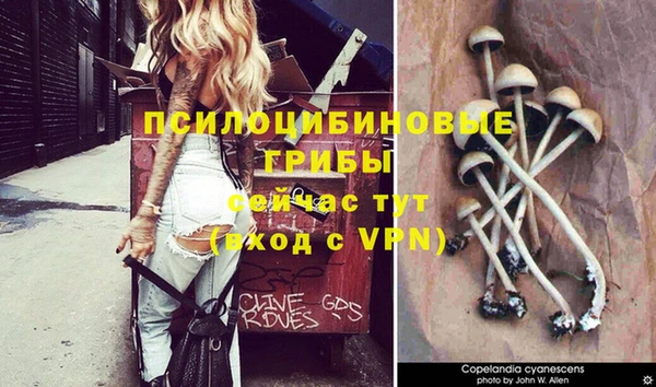 бошки Нягань