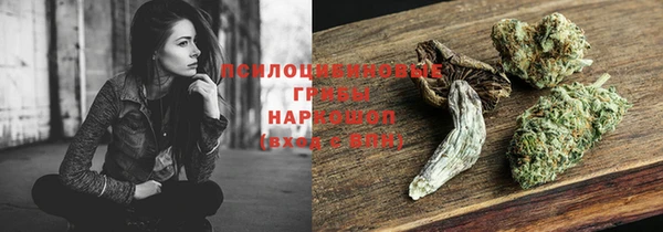 бошки Нягань
