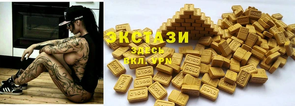 гидра Няндома