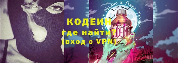 гидра Няндома