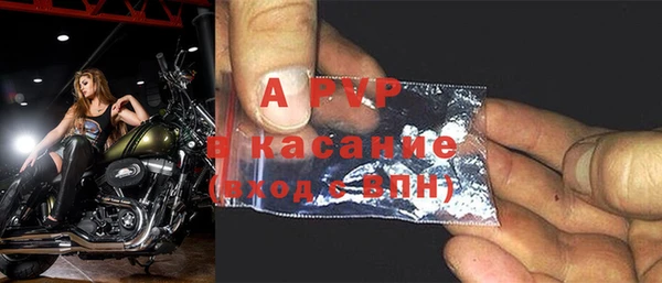 гидра Няндома