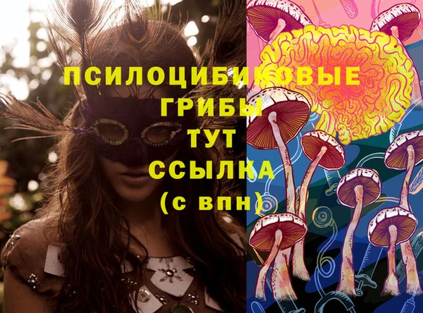 бошки Нягань