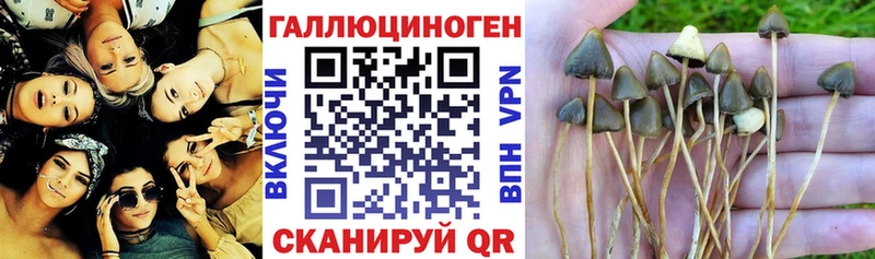Галлюциногенные грибы MAGIC MUSHROOMS  наркотики  Ревда 